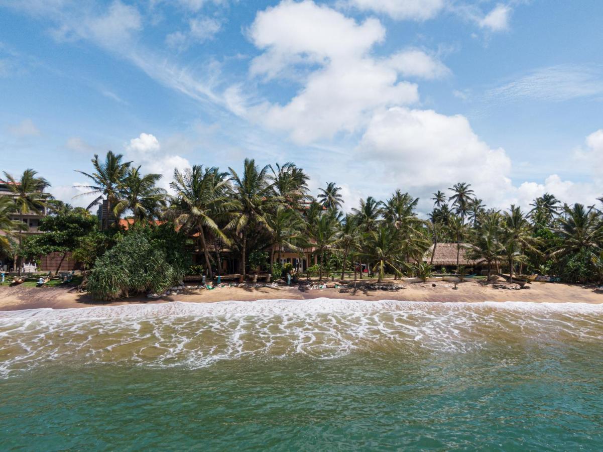 The Slow Vegan Hotel Mirissa Exterior foto